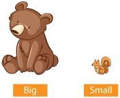 opposite adjectives words with big small 1308 56389 jpgsize626extjpggaga1 1 553209589 1714521600semtais from smal and big