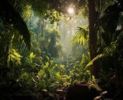 dense jungle canopy with vibrant varied flora hiding mysterious creatures within its shadows 1268 34989 jpgsize626extjpggaga1 1 553209589 1714521600semtsph from jangal free full download opr3d crack serial keygen tor