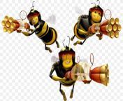 bee barry b benson film animation png favpng ftstjufzz0lletyuzpn0pempr.jpg from bakunzaleone nuad ba bees b