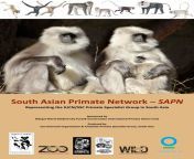 south asian primate network a sapn zoo outreach organisation.jpg from burdwan district sex anmils xxxsi sex maa porn