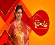 768915.h from all tv telugu serial show actress sex