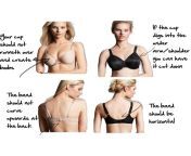 b is for bras.jpg from how to fit a bra 124 measuring bra size 124 mrbra com lingerie guide