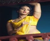 tamil actress anushka bra saree jpgw593 from tamil actress anuska shetty hot sexy video mypornwap angla bsex