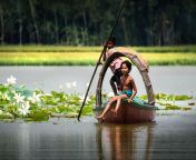shapla.jpg from bangladeshi very beautiful in the world