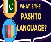 what is the pashto langauge oumoknbapiniwm4g4pk2zs1l91fay0sxczt3ia877s.png from pashto des