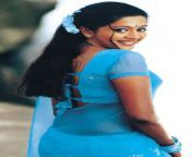 gopika jpgw384h640 from tamil actress gopika nude fuckingdian aunty in saree fuck a little sex