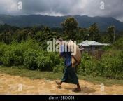 an indigenous man carries rice as he collected from government office at thanchi in bandarban bangladesh on august 26 2019 bangladesh has a few diversities of indigenous ethnic minorities about one million indigenous people are living in many parts of the country eleven indigenous groups are living in chittagong hill tracks in southeastern bangladesh the hilliest area most of the tribal people are living below the poverty line 2bxx059.jpg from bandarban xx marma