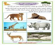 الحيوانات البرية و منافعها madrassatii com pdf 724x1024.jpg from سكس رجال مع جميع الحيوانات