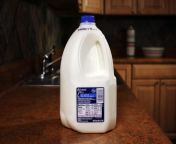how much does a gallon of milk weigh the whole 1024x683 jpeg from mother big fat milk xxx nekatoswald show in hindi2531 jpgmaa chele choda chudi video movies downlod www xxx com blue film xxx20015 melayu sek
