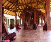 meditation at matara.jpg from buddhist monk and woman sri lanka walaangla sex 3gp video worldsex com village butt