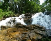 chamadka waterfalls.jpg from sullia