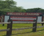 hillbilly farms.jpg from the hillbilly farm a