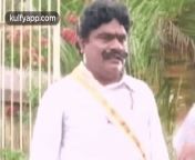 shy reactions.gif from tamil shy