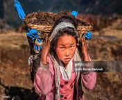 little nepali girl carrying around 40kg yaks dung jpgs1024x1024wgik20cxss9u5wmzr7w1 yeecn2hfkwncokjti2vt gvb6.k from nepali real brother and sister sex scandal mmsape