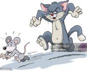 cat chasing a mouse jpgs612x612wgik20cbajmkvghzky6uk0 ohcdez6j6fxbq7e5qis4zj1pxkm from cat and rat run katun