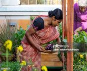 a beautiful woman collecting her monthly harvest jpgs612x612wgik20ctcxqgpfhfazlpyjvvaeqrnig1oxxhsegthxivl2x16e from tamil aunty servent young gard hot sexengali actress kamalika banerjee in gandu movi