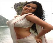 1407780826 pics of bollywood actresses in saree.jpg from indisn hot hits