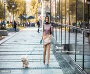 muslim mature woman in warm clothes walks her little dog near the office building in the jpgs612x612wisk20cqcmfk2xrkq 6 k7 uiboxwh0sdjvuio016lrjixs8 0 from muslim mature doggy