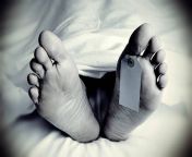 dead body with a blank toe tag in monochrome picture id590620334k6m590620334s612x612w0hxtztic 2swzugbubjkr0ojayor5mm9df xp3yaahy2g from dead person
