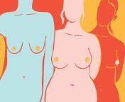 35370 common breast shapes 732x549 thumbnail 20190426181227722.jpg from all boobs pi