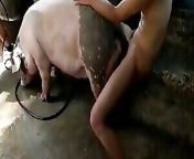 animalzoosex me.jpg from aadmi ne gadhi ki chudai ki bhojpuri video boob press
