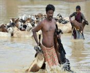 india10jeffrey 3102950.jpg from tamil village bath in river