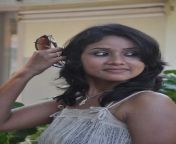 tamil actress urmila hot photo shoot stills 8501.jpg from tamil college urmila nide