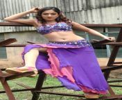 telugu actress sheela latest hot photos stills pics 1114.jpg from sheela meri jaan movie hot clipamann
