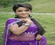 actress padmini hot saree stills 43.jpg from kannada actress padmini hot in lathi charge