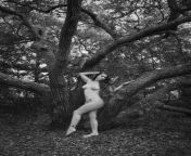 the trees speak if you listen artistic nude photo by model jade ashh medium7.jpg from speak nude