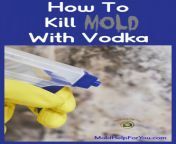 how to kill mold with vodka 667x1000.png from kall mol