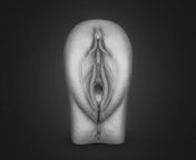 anatomy of the vagina 3d model c4d max obj fbx ma lwo 3ds 3dm stl 4800572 m.jpg from far cry vagina