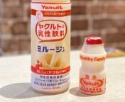 500ml yakult drink found at don don donki 5 jpgitok7fdmv9vq from japanese huge big milk