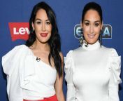 nikki brie bella twins jpgquality75stripall from niki bella and brie bella bes