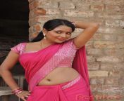 chmghteuiaaykd6.jpg from tamil actress meena hot saree drop sex video download galpo