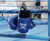 boxing boxing gloves match blue.jpg from blue boxing