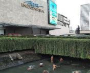 melihat bocah telanjang berenang di saluran air mall grand indonesia lcz.jpg from bocah bugil viral
