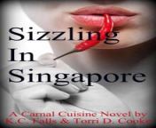 sizzling in singapore a carnal cuisine novel preview.jpg from 景洪找小妹全套学生妹上门服务电话微信7⒍21906选妹网址m2566 com约炮服务 mnd