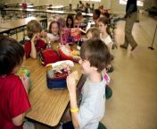 primary school taking their daily lunch break during their school day activities.jpg from school take
