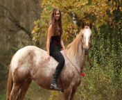 1280 523134937 pretty girl riding a horse.jpg from garls horesxxx