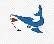 pngtree cute cartoon great white shark clipart hand drawn png image 5576801.jpg from लिंग महान वीडियो का प्यारा हेनतई लिंग