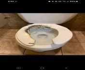 i have seen alot of things in public toilets but wtf v0 egpmlu5zg9ea1 jpgwidth1080cropsmartautowebps0bc172a50dbb3453e5284727d76ee43820e76243 from indian toilet sex local