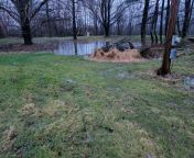 how should i make a permanent wildlife pond out of this low v0 avkzkkyg5ks81 jpgautowebps0321c6d2f3be9471e14ccbb39794948ced984229 from pond temp avoid lies