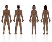 149677375 human body black man and woman front and back view.jpg from real naket human body back sids parts name