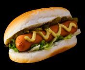 purepng com hot dogfood salad hotdog sausage sandwich ketchup 9415246184411sj9v.png from png sexy pic