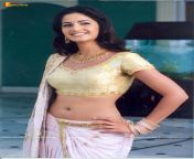 sexy navel revealing katrina kaif in saree.jpg from actress roja fucking nude imagesexy