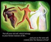 new man ephesians 4 20 24 300x238.jpg from and put the man over the woman