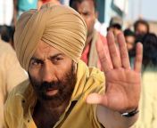 sunny deol images hd 1508392973.jpg from sunny deol xvideos