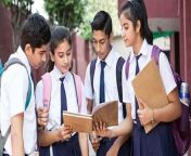 cbse board exams 1582804034.jpg from 10 class indian school gail sex