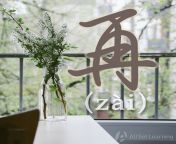 chinese grammar wiki zai 2 jpg20191022044810 from asian zai